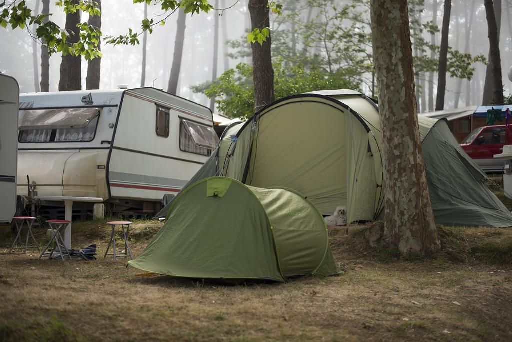 桑亨霍 Camping Cachadelos酒店 外观 照片